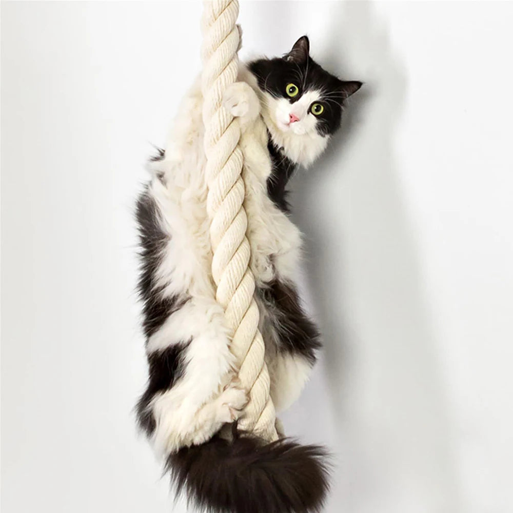 Wall-Mounted Sisal Climbing Shelf