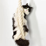Wall-Mounted Sisal Climbing Shelf